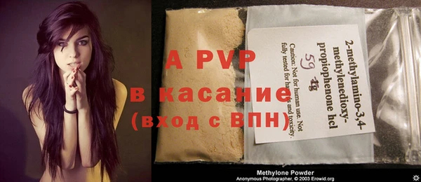 стаф Арсеньев