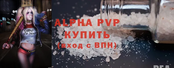 стаф Арсеньев
