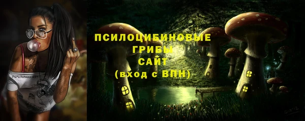 МДПВ Майский