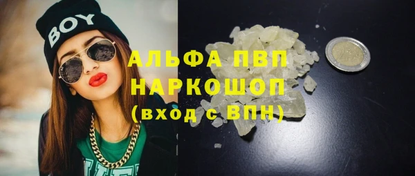 шишки Аркадак