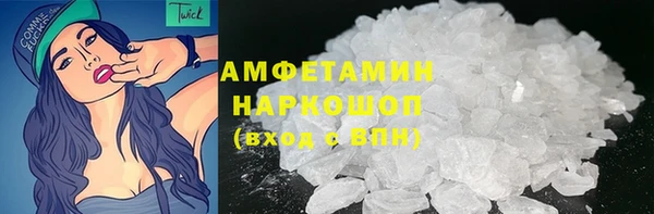 шишки Аркадак