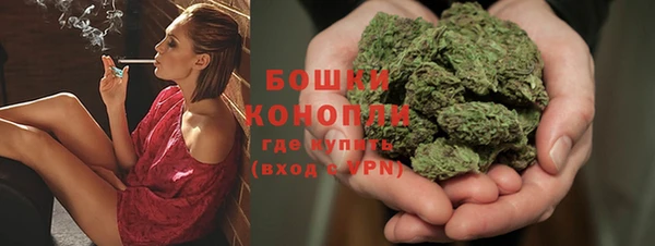 шишки Аркадак