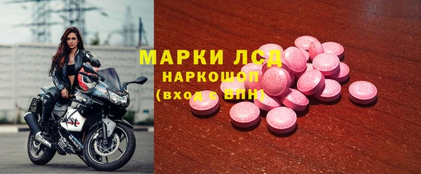 стаф Арсеньев