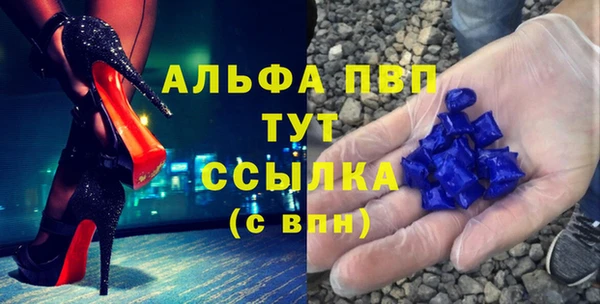 шишки Аркадак
