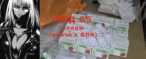 стаф Арсеньев