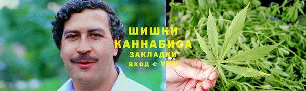 шишки Аркадак